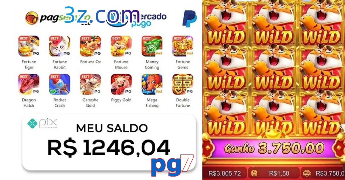 pg7 apostas esportivas e cassino